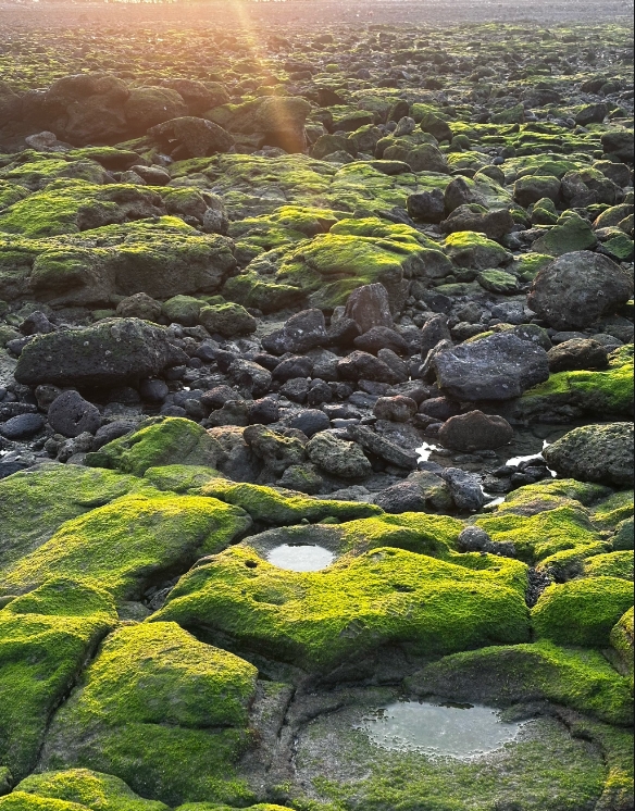 1749632179538703.png ΢ÐŽØÍ¼_20250611155212.png