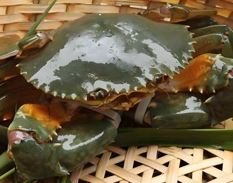 1751527926701573.png ΢ÐŽØÍ¼_20250703113217.png