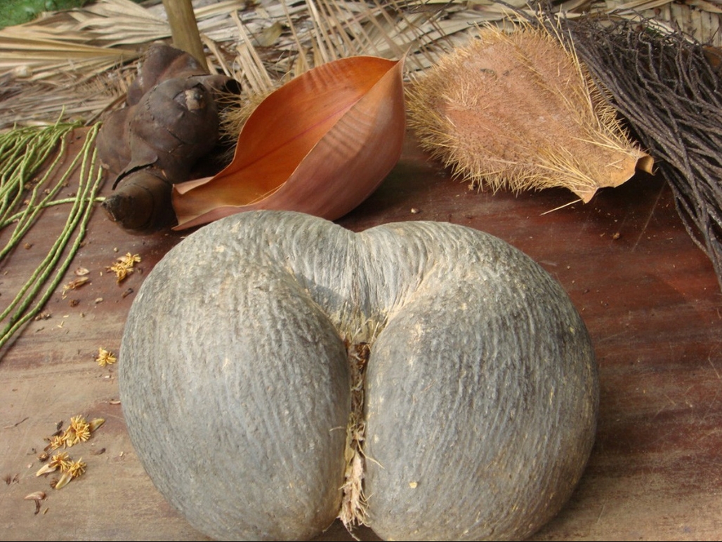 1752481375480779.png ΢ÐŽØÍ¼_20250711164140.png