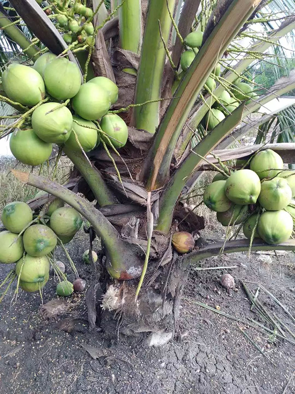 博世体育(中国集团)官方网站