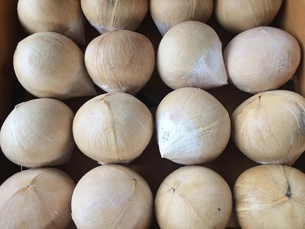 博世体育(中国集团)官方网站