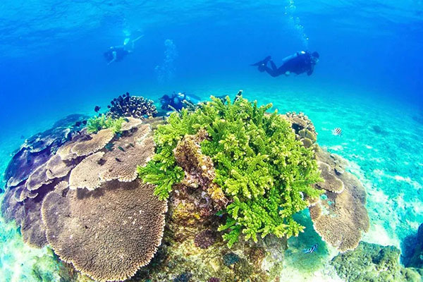 博世体育(中国集团)官方网站