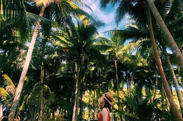 博世体育(中国集团)官方网站