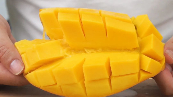 ��������(�й�����)�ٷ���վ