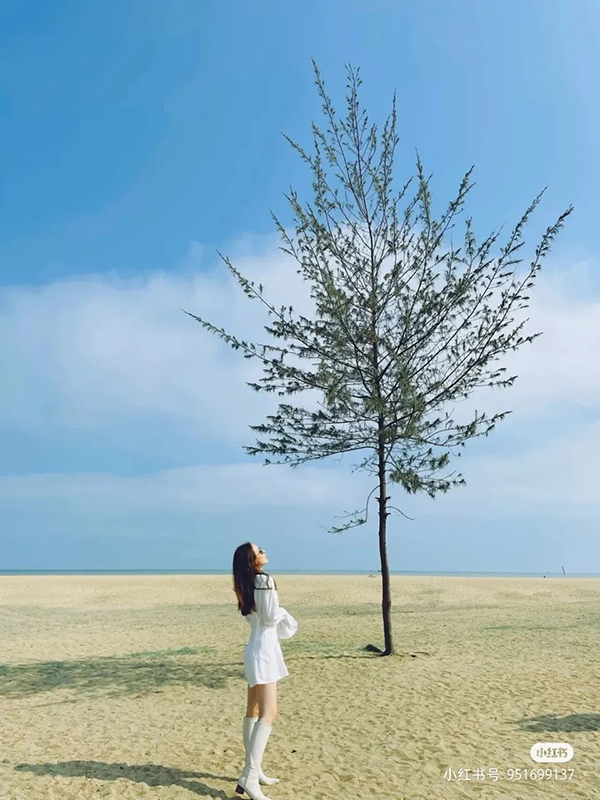 ��������(�й�����)�ٷ���վ