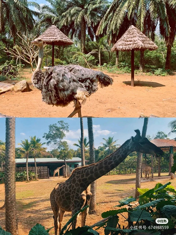 ��������(�й�����)�ٷ���վ