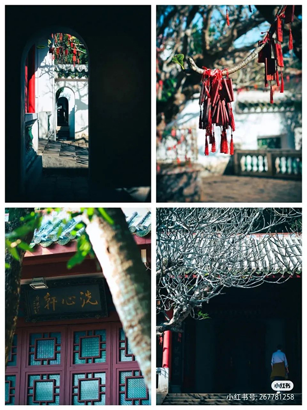 ��������(�й�����)�ٷ���վ