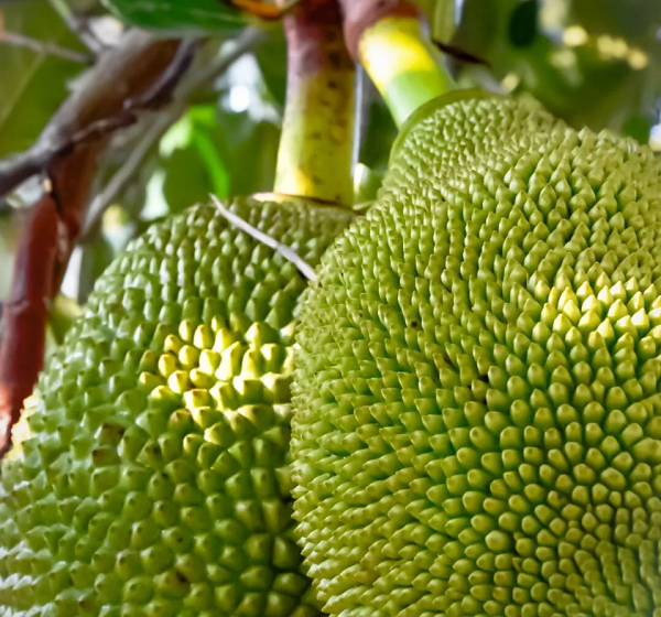 ���ϲ�����