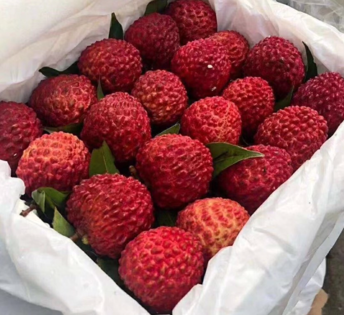 博世体育(中国集团)官方网站