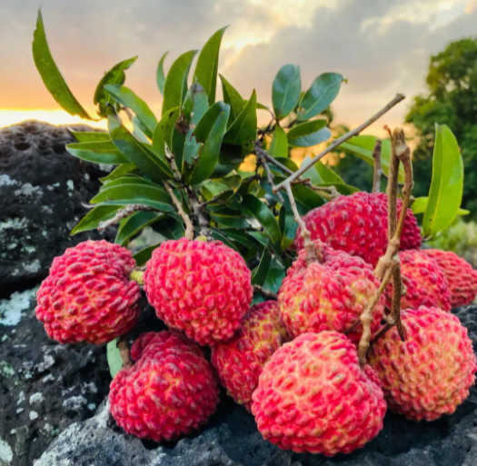 博世体育(中国集团)官方网站