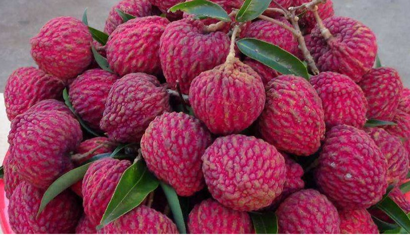 微信截图_20230710114243