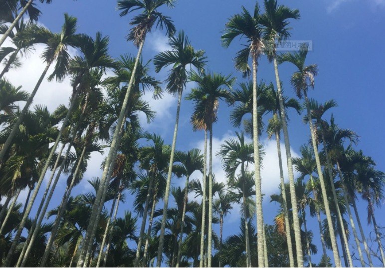 博世体育(中国集团)官方网站